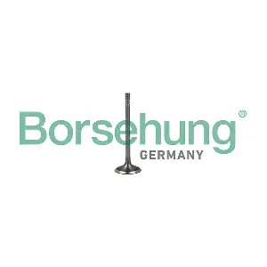 Borsehung B19023