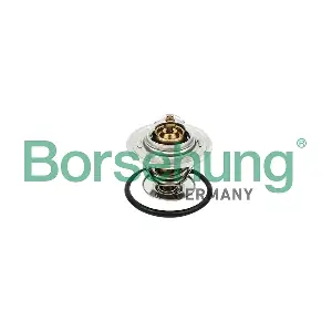 Borsehung B18258