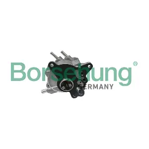 B17906 Borsehung