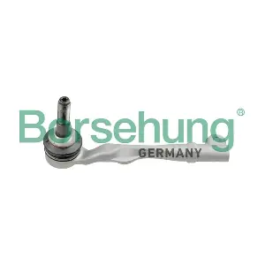 B10820 Borsehung