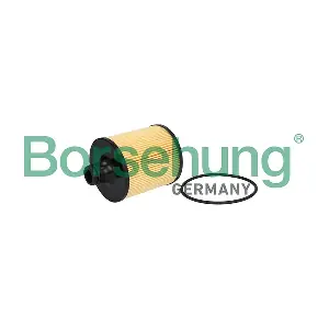 B13074 Borsehung