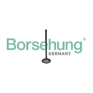 Borsehung B10323
