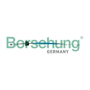 B10785 Borsehung