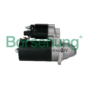 B12034 Borsehung