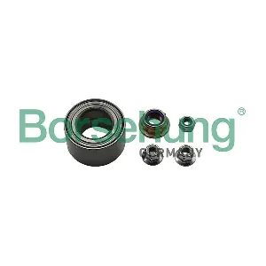 Borsehung B15959