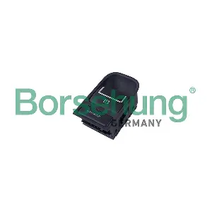 B18769 Borsehung
