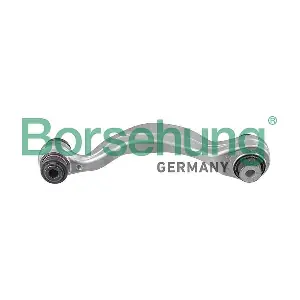 B12549 Borsehung