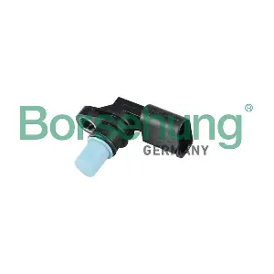 B11860 Borsehung