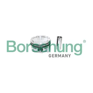 Borsehung B11137