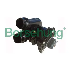 B12691 Borsehung