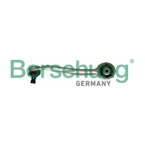 Borsehung B10838