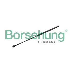 B12481 Borsehung