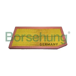 B12448 Borsehung