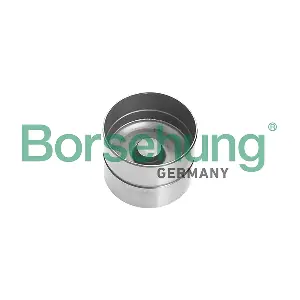 Borsehung B18836