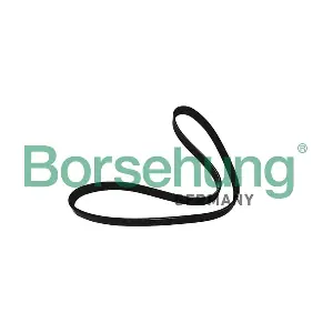 Borsehung B12386