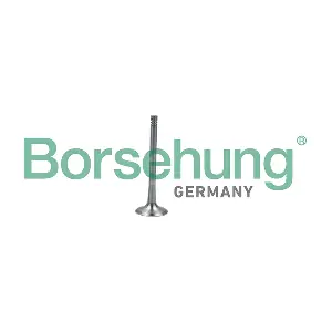 Borsehung B19011