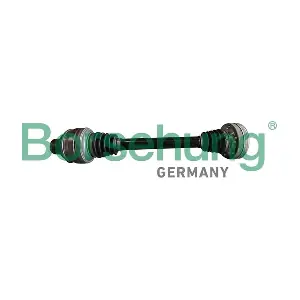 B10608 Borsehung