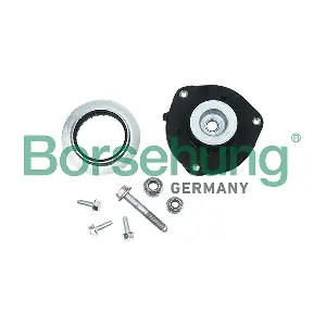 B15130 Borsehung