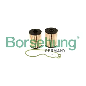 B12200 Borsehung
