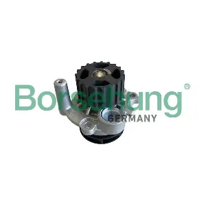 B11213 Borsehung