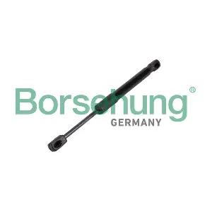 B12476 Borsehung