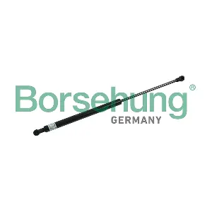 B18454 Borsehung