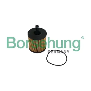B10548 Borsehung