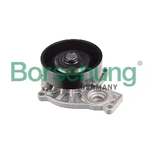B11219 Borsehung