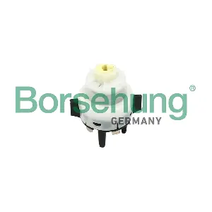 B17961 Borsehung