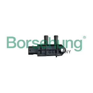 B11882 Borsehung