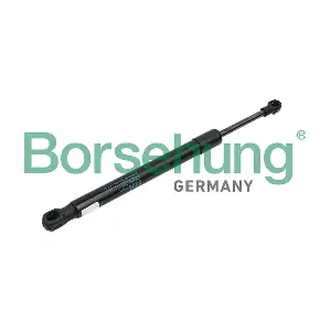 B14190 Borsehung