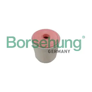 4G0133843 BORSEHUNG