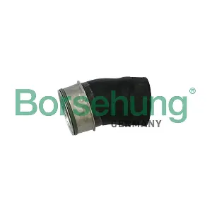 Borsehung B11982