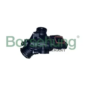 Borsehung B10558