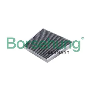 B12849 Borsehung
