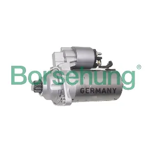 Borsehung B18164