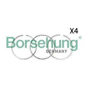 B18816 Borsehung