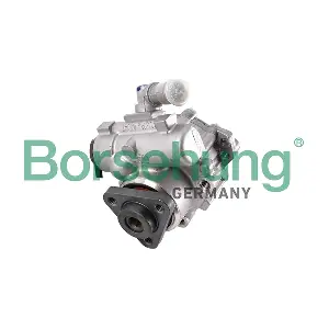 B18226 Borsehung