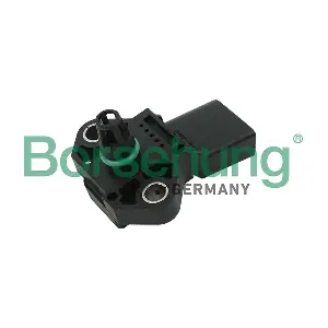 B13676 Borsehung