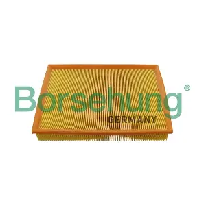 B12404 Borsehung