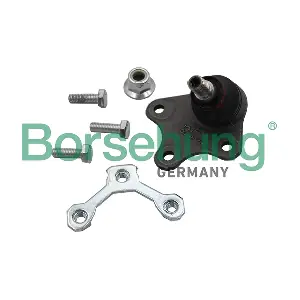 B18697 Borsehung