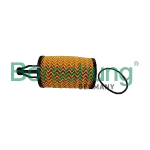 B10444 Borsehung