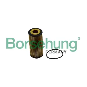 B10511 Borsehung