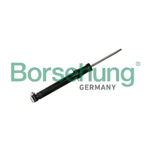 B11188 Borsehung