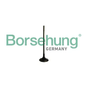 B10328 Borsehung