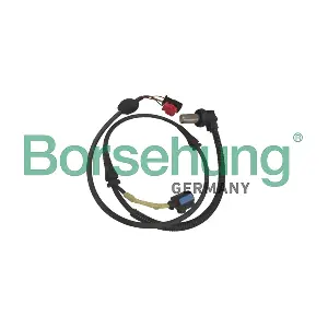 Borsehung B12863