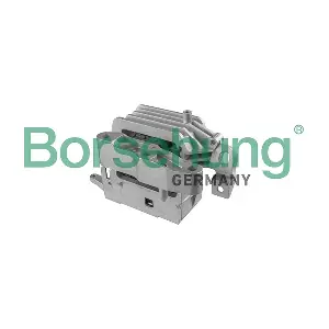 B10999 Borsehung