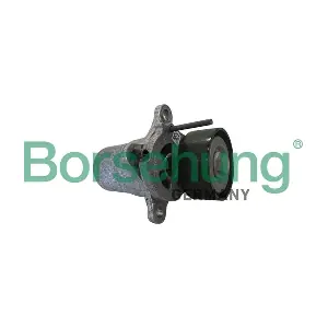 B12393 Borsehung