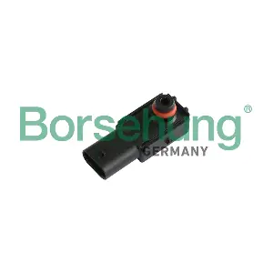 B11875 Borsehung