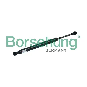 B18457 Borsehung